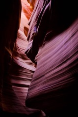 DSC_2973.jpg