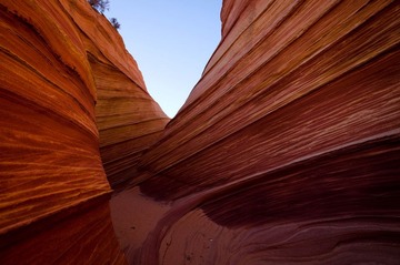 DSC_3306.jpg