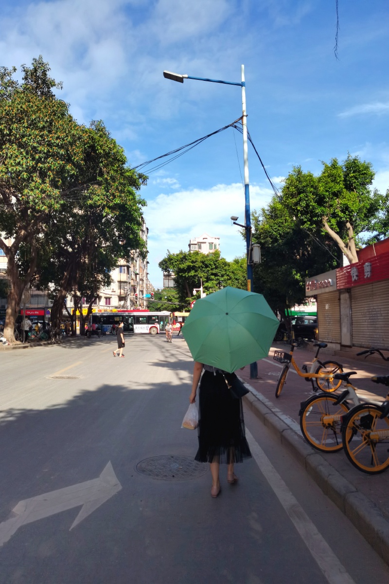 阳光灿烂
