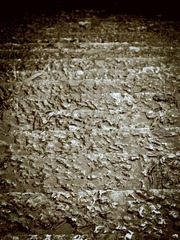 RIMG1783-1.jpg_effected.jpg