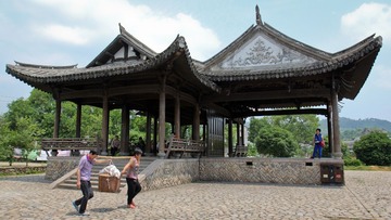 IMG_6559.jpg