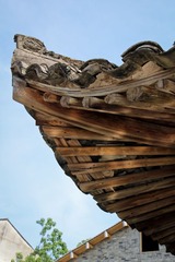 IMG_7095.jpg