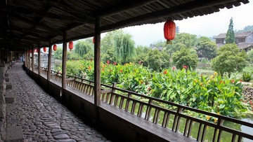 IMG_6833.jpg