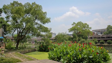 IMG_6586.jpg