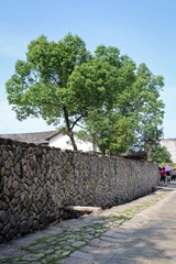 IMG_7147.jpg