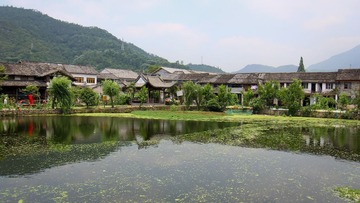 IMG_6658.jpg