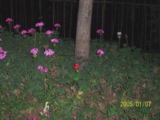 530EFE47-B8C6-43F5-A3C0-3BF48F871494/L0/001