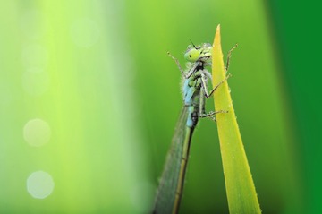 _DSC0093