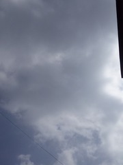 64603