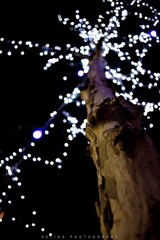 20120203-DSC_6510.jpg