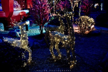20120204-DSC_6674.jpg