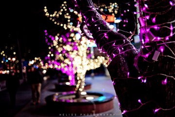 20120204-DSC_6687.jpg