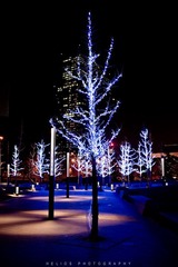 20120204-DSC_6770.jpg