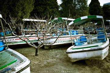20120225-DSC_7045.jpg
