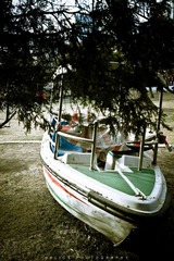 20120225-DSC_7053.jpg