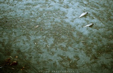 20120225-DSC_7080.jpg