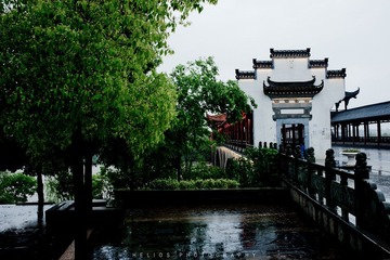 20120424-DSC_7408.jpg