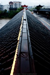 20120424-DSC_7414.jpg