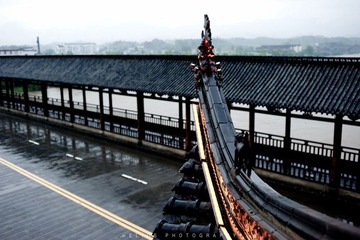 20120424-DSC_7423.jpg