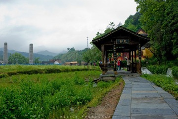 20120425-DSC_7500.jpg