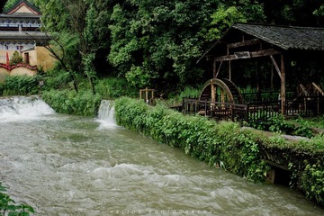 20120425-DSC_7504.jpg