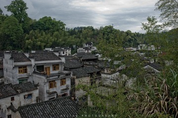 20120425-DSC_7533.jpg