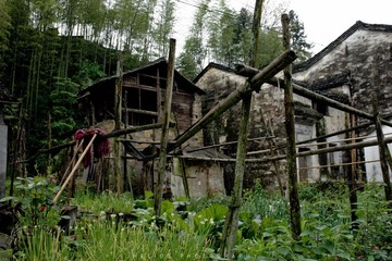 20120425-DSC_7542.jpg