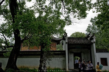 20120425-DSC_7553.jpg