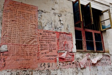 20120425-DSC_7600.jpg