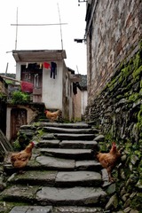 20120425-DSC_7603.jpg