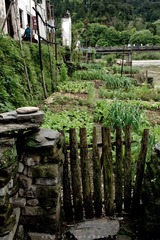 20120425-DSC_7628.jpg