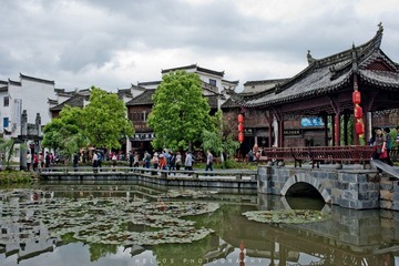 20120425-DSC_7649.jpg