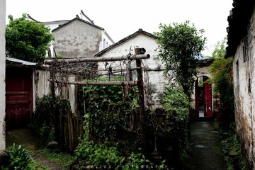 20120425-DSC_7673.jpg