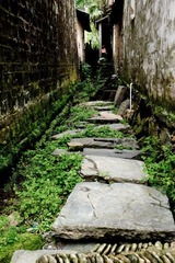 20120425-DSC_7678.jpg