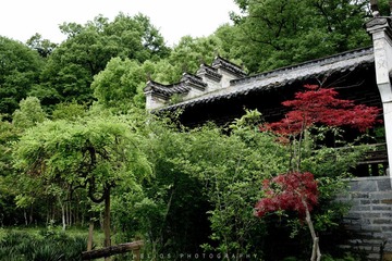 20120425-DSC_7684.jpg
