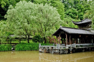 20120425-DSC_7689.jpg