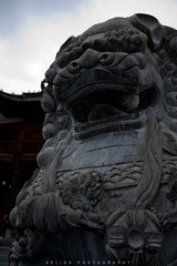 20120425-DSC_7704.jpg