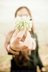 20120512-DSC_8683.jpg