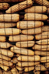 20120512-DSC_8782.jpg