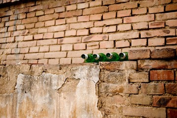 20120512-DSC_8801.jpg