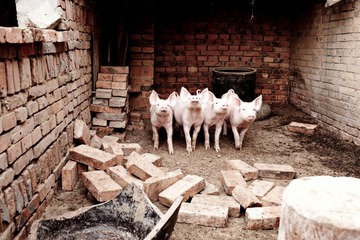 20120512-DSC_8828.jpg