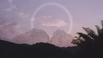 20226
