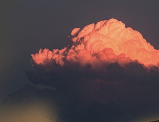 75446