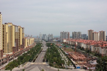 IMG_0770.jpg
