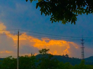 651E4CDB-F498-42FB-9AFA-F7D8EE9F78F0/L0/001
