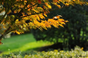 DSC_8624x.jpg
