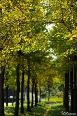 DSC_8630x.jpg