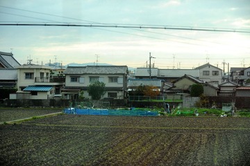 DSC_0013.jpg