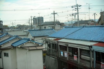 DSC_0026.jpg