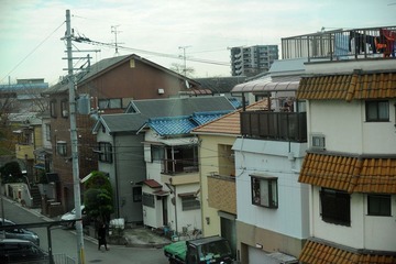 DSC_0027.jpg